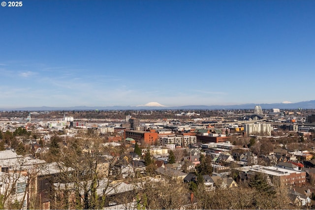 property's view of city with a mountain view