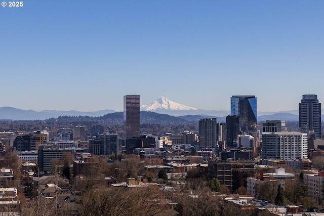 property's view of city with a mountain view