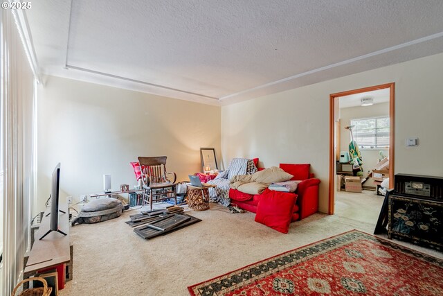 9023 SE Ankeny St, Portland, OR 97216 - living area with a textured ceiling and carpet flooring