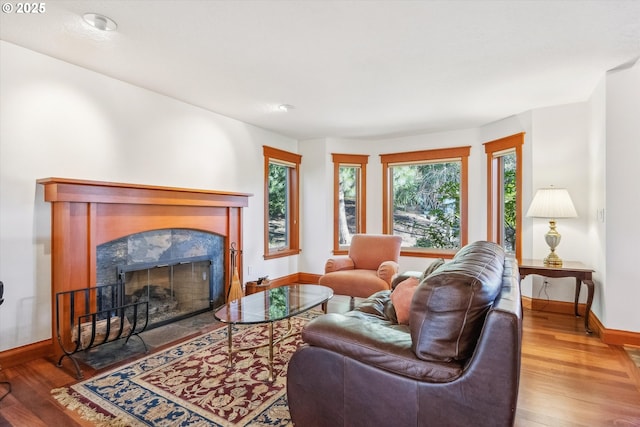 living room featuring hardwood / wood-style floors and a fireplace