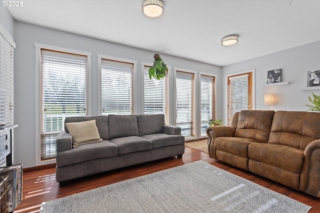 living room with dark hardwood / wood-style flooring