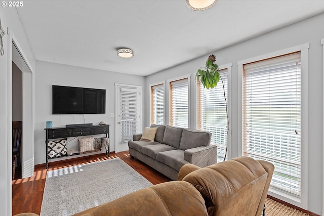 living room featuring dark hardwood / wood-style floors