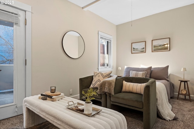 bedroom with carpet floors