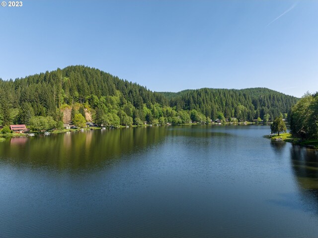 71378 Northshore Dr, Birkenfeld, OR 97016