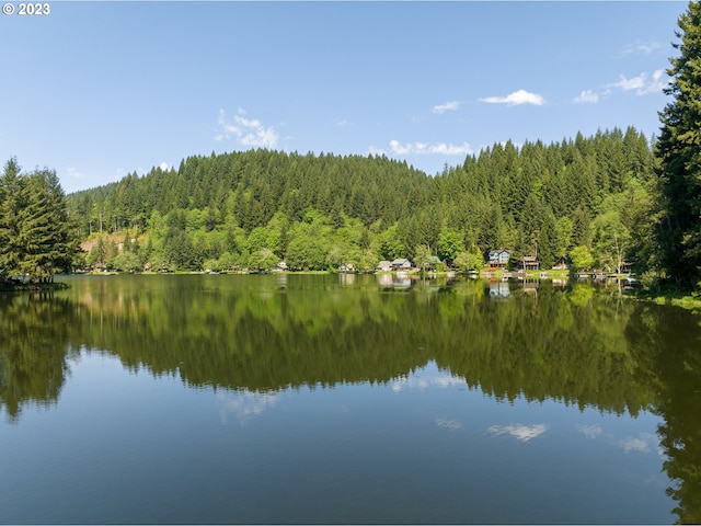 71378 Northshore Dr, Birkenfeld, OR 97016