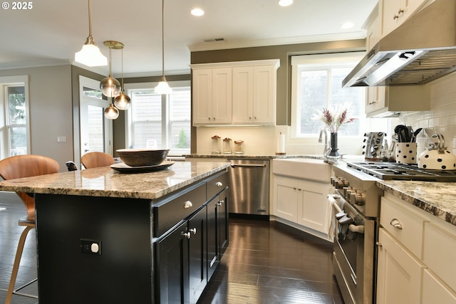3225 SE Lincoln St, Portland, OR 97214 - kitchen featuring stainless steel appliances, exhaust hood, ornamental molding, a breakfast bar, and plenty of natural light