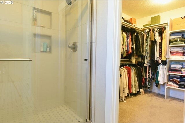 3225 SE Lincoln St, Portland, OR 97214 - walk in closet with carpet flooring