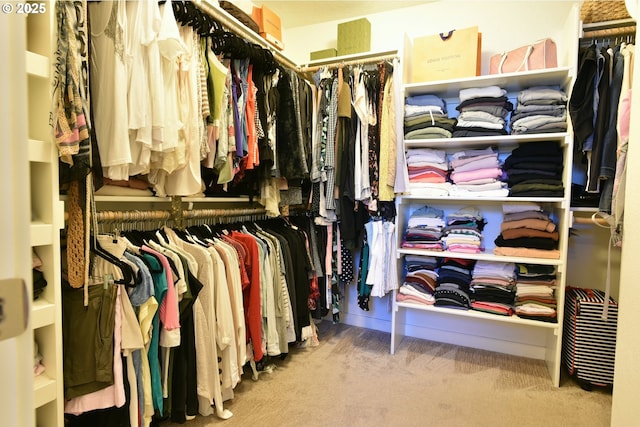 3225 SE Lincoln St, Portland, OR 97214 - spacious closet with carpet floors