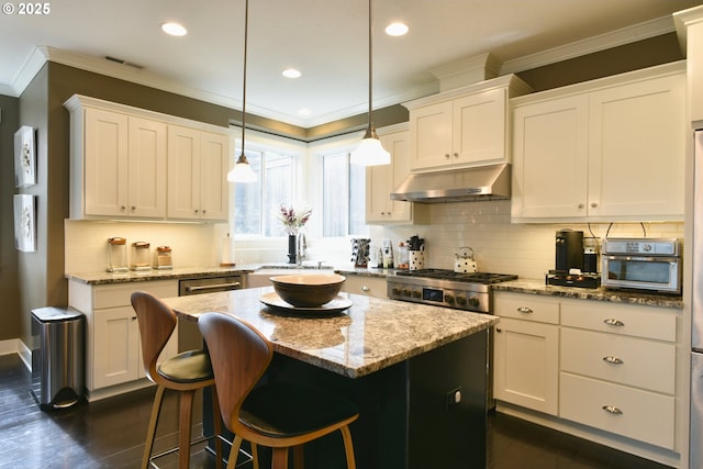 3225 SE Lincoln St, Portland, OR 97214 - kitchen with under cabinet range hood, ornamental molding, dark wood-style floors, a sink, and stove
