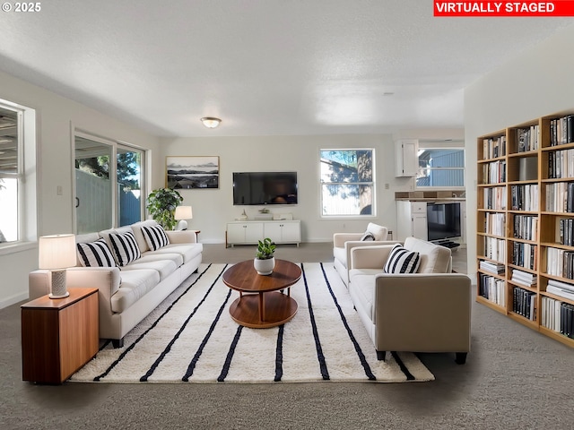 living area featuring baseboards