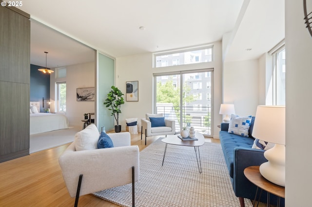 living room with wood finished floors