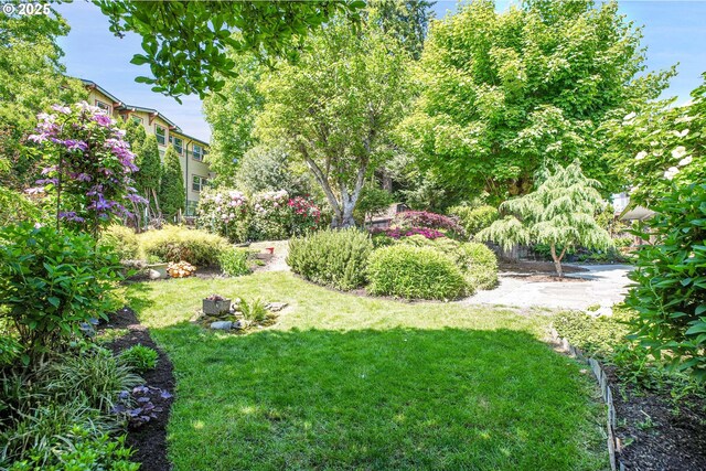 4729 SE Concord Rd, Milwaukie, OR 97267 - view of grassy yard