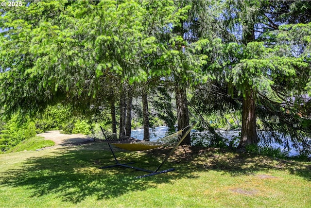 view of yard featuring a water view