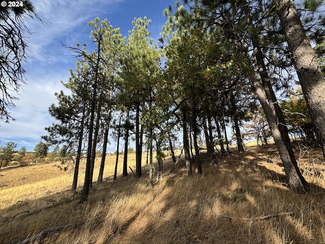 0 Jensen Quarry Rd, Bickleton, WA 99322
