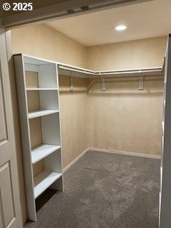 walk in closet with carpet