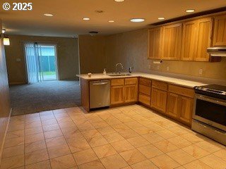 kitchen featuring a sink, under cabinet range hood, stainless steel appliances, a peninsula, and light countertops