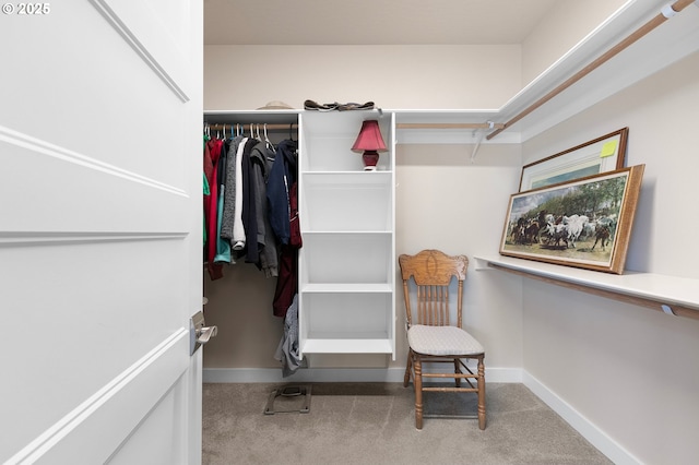 1705 Trevino Rd, Creswell, OR 97426 - walk in closet with carpet floors