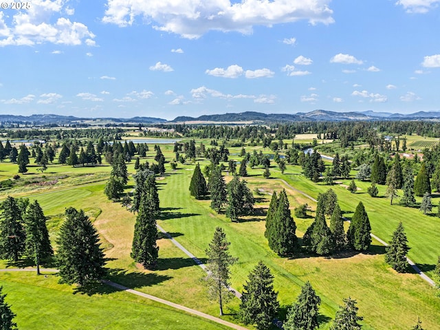 1705 Trevino Rd, Creswell, OR 97426 - bird's eye view of mountains and a golf club