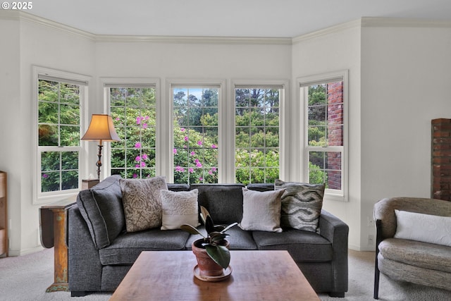 carpeted living area with ornamental molding and baseboards