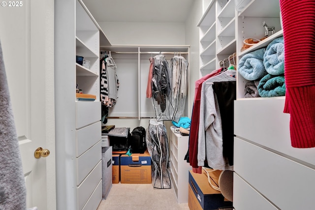 view of walk in closet