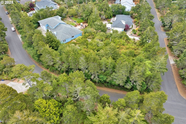 aerial perspective of suburban area with a tree filled landscape