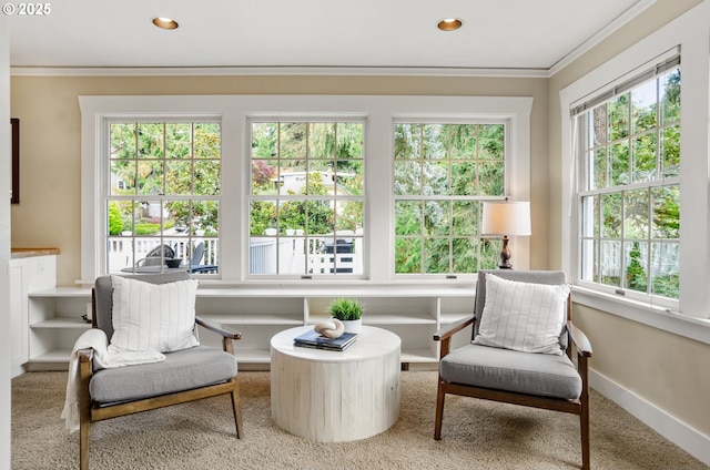 sitting room with ornamental molding and carpet flooring