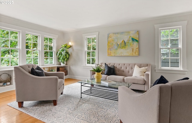 living room featuring light wood-type flooring and crown molding