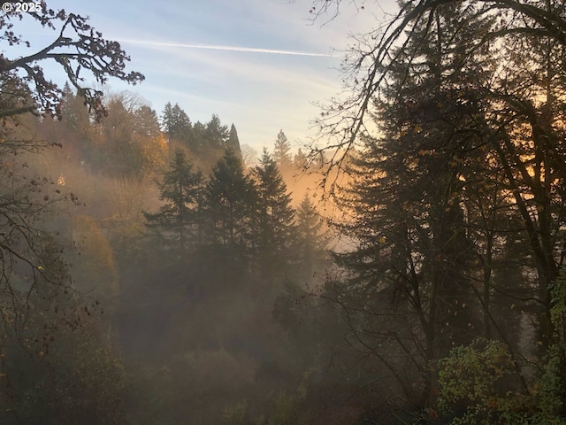 view of nature at dusk