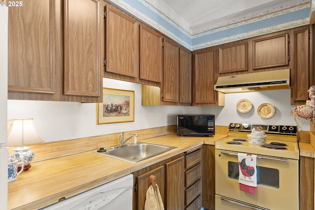 11044 SW Greenburg Rd Unit 321, Portland, OR 97223 - kitchen featuring white appliances, extractor fan, a sink, light countertops, and a textured ceiling
