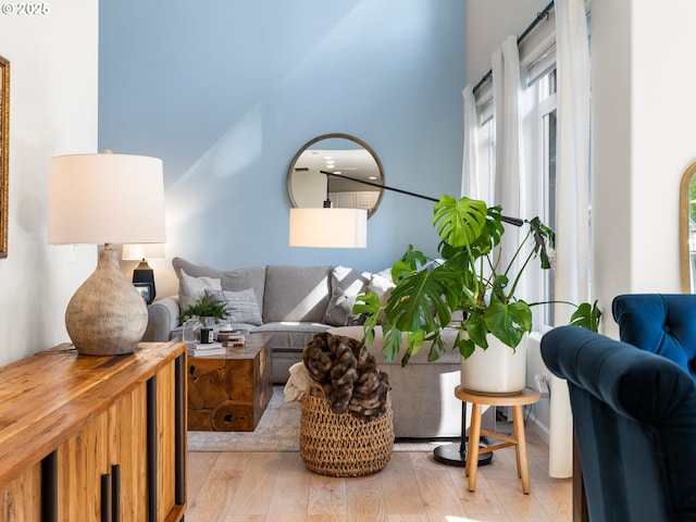 living area featuring wood finished floors