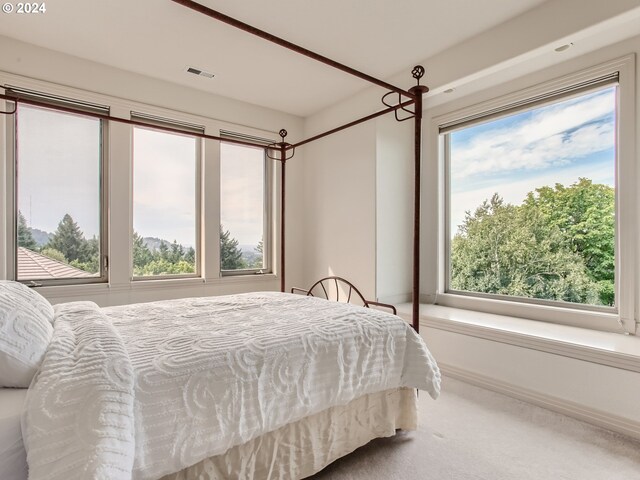 9112 NW Wiley Ln, Portland, OR 97229 - bedroom featuring multiple windows and carpet flooring