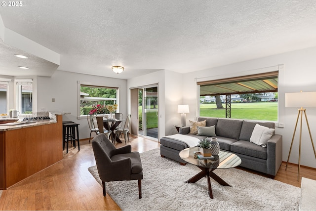 living area featuring light wood-type flooring and a textured ceiling
