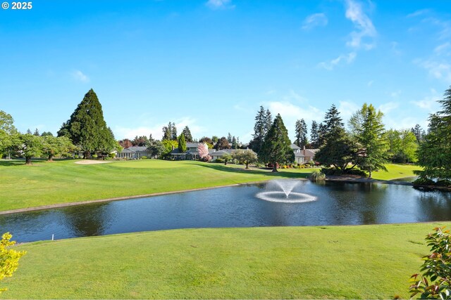 property view of water