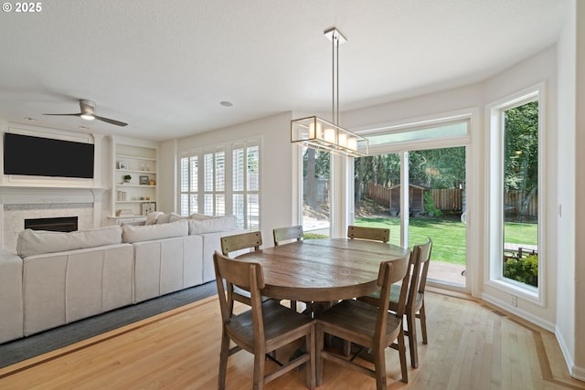 10440 SW 141st Ave, Beaverton, OR 97008 - dining room featuring healthy amount of natural light, light wood-style floors, and a ceiling fan