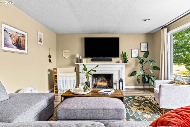1561 Balboa St, Eugene, OR 97408 - living room featuring wood finished floors, a textured ceiling, and a fireplace