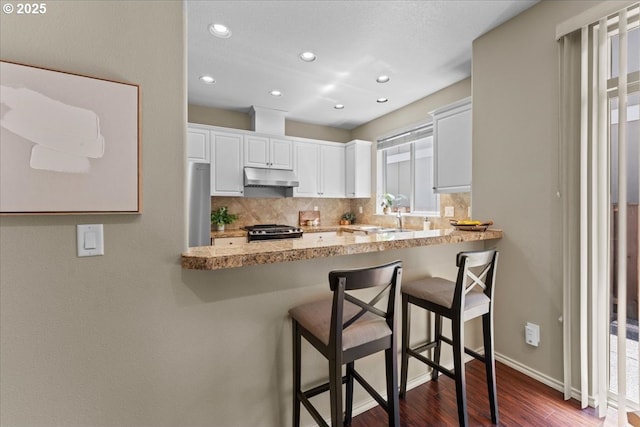 6638 NW Joss Ave, Portland, OR 97229 - kitchen featuring under cabinet range hood, stainless steel appliances, a peninsula, dark wood-type flooring, and recessed lighting