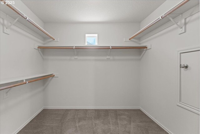 6638 NW Joss Ave, Portland, OR 97229 - walk in closet with carpet