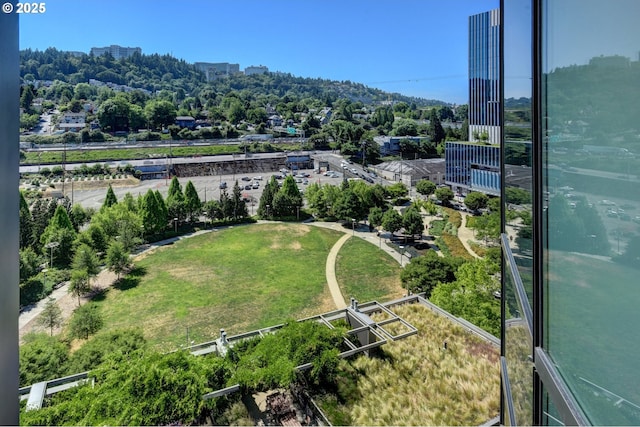 drone / aerial view