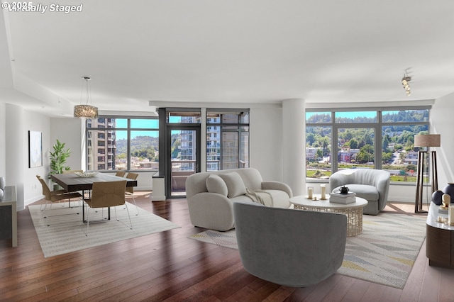 living room with wood-type flooring, baseboards, and a wealth of natural light
