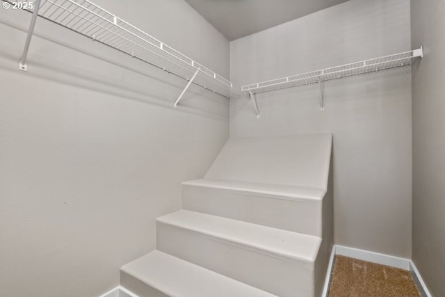 1919 NE 50th Way, Hillsboro, OR 97124 - spacious closet with carpet