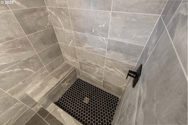 interior details with tiled shower