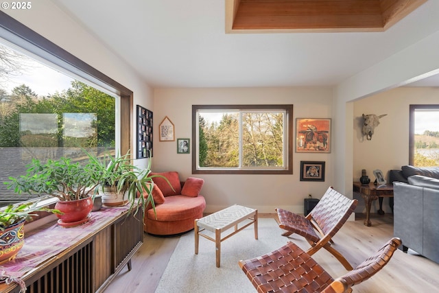 living area featuring light wood-type flooring, a tray ceiling, and a healthy amount of sunlight