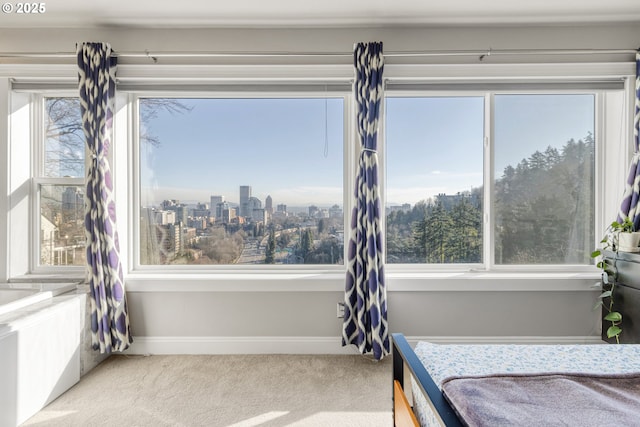 carpeted bedroom with multiple windows