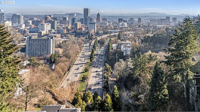 city view with a mountain view