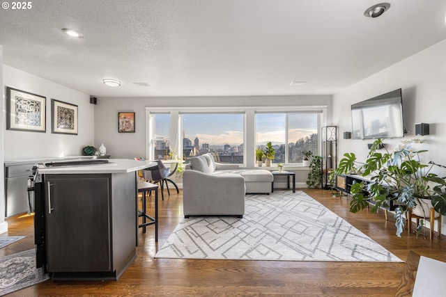 living room featuring dark wood-type flooring and a textured ceiling