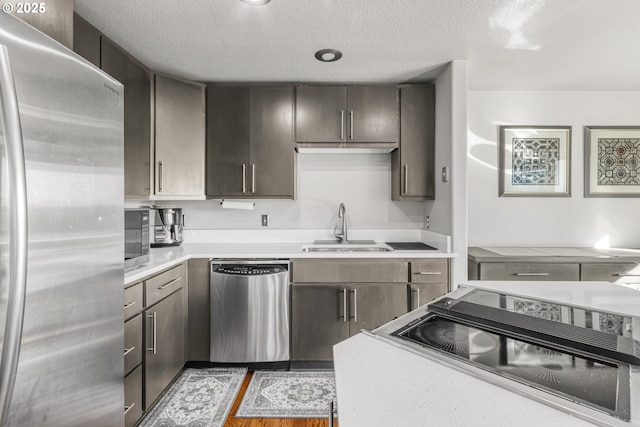 kitchen with sink, a textured ceiling, dark brown cabinetry, and stainless steel appliances