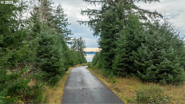 83615 Clear Lake Rd, Florence OR, 97439 land for sale