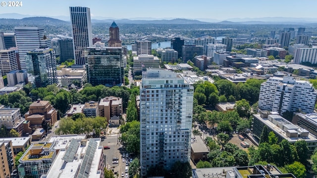 view of city featuring a mountain view