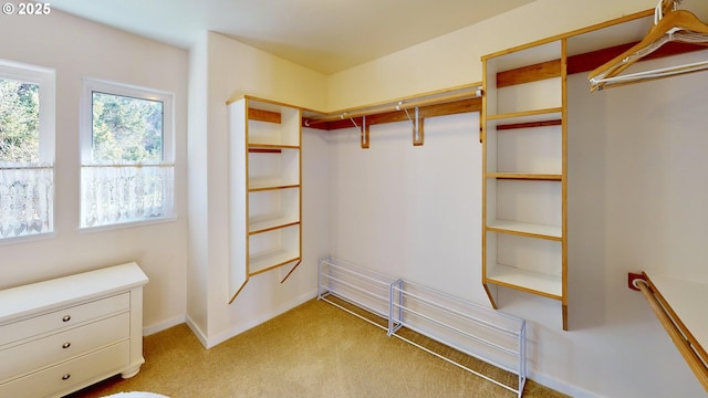 spacious closet featuring light carpet