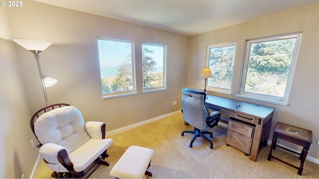 office space with light colored carpet and baseboards